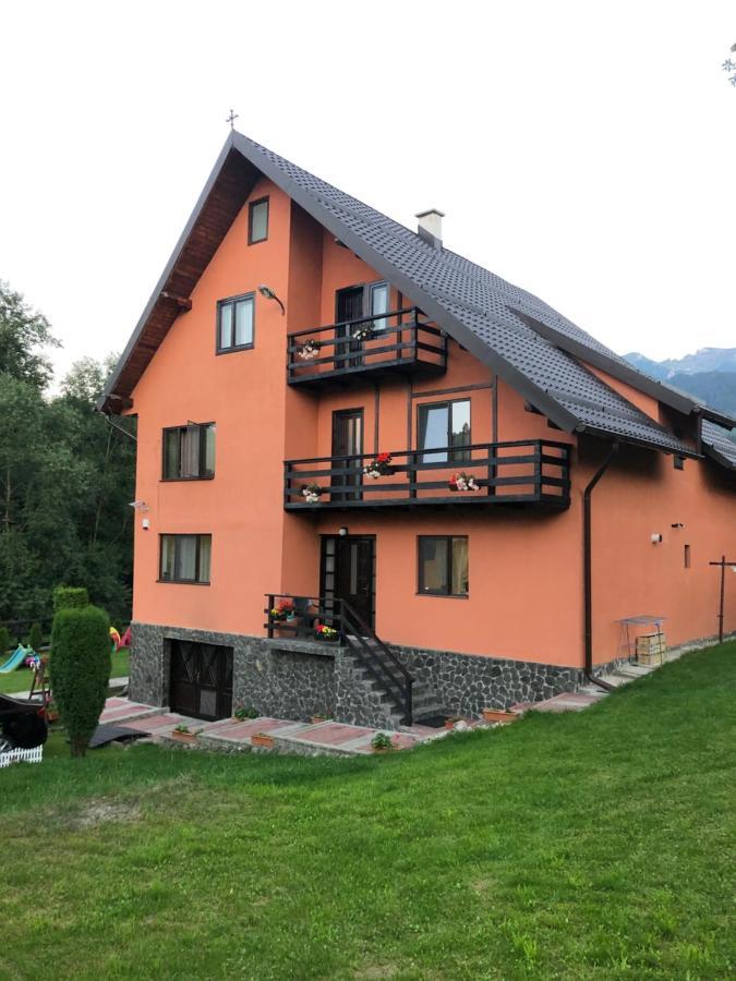 Pensiunea Esenzza Бран Екстериор снимка